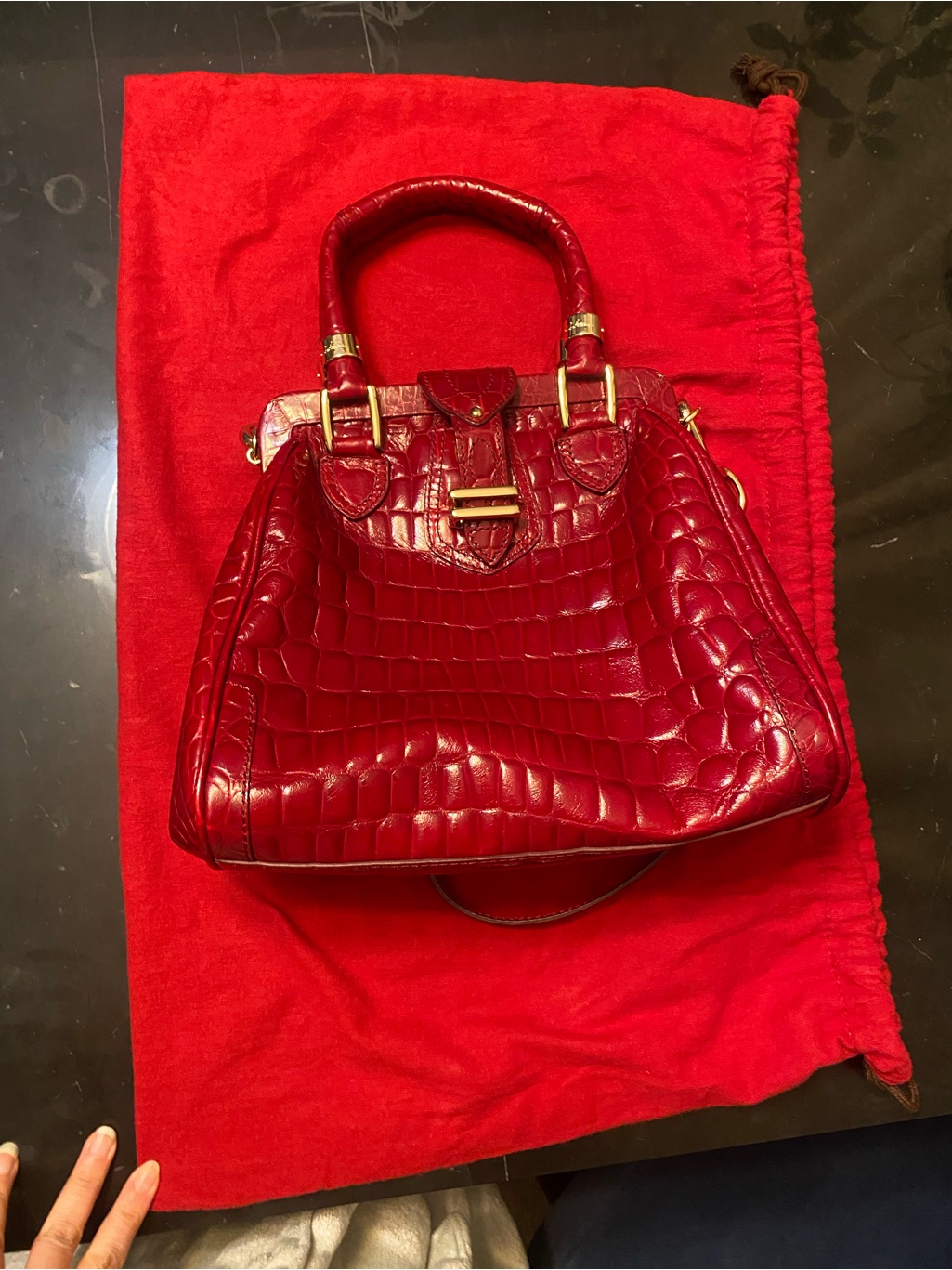 Cole Haan Leather Bag  Brand New